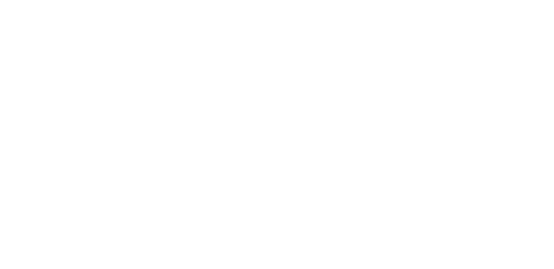 logo Anna23